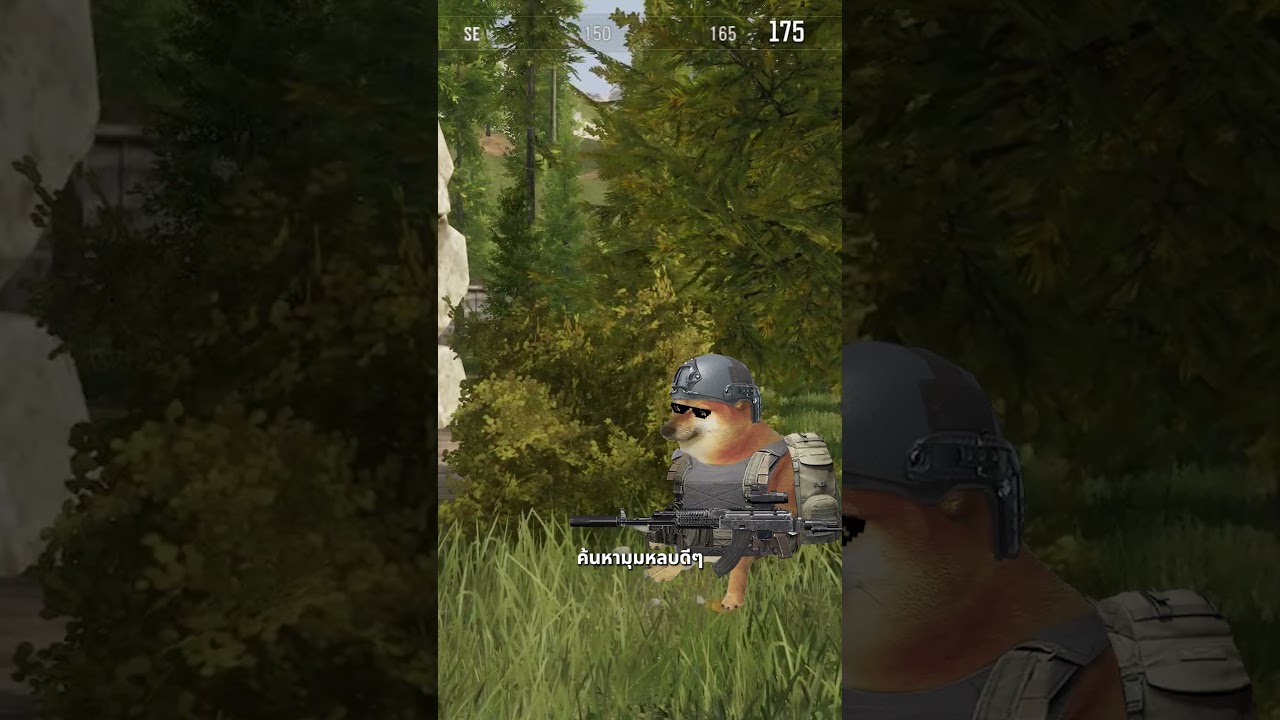 มาเรียนรู้วิธีรวยเร็วในพื้นที่ล็อกดาวน์จากดิคตัวพ่อ! #ArenaBreakout #Shootnloot