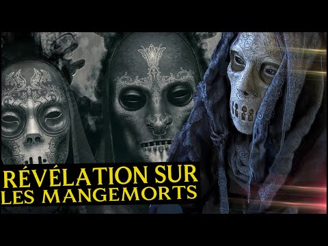 Vidéo: Aurez-vous remarqué le sens ?