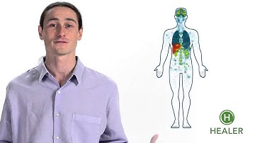 Your Endocannabinoid System Explained