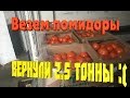 Везем температурный груз, не приняли груз, 2.5 тонны томатов