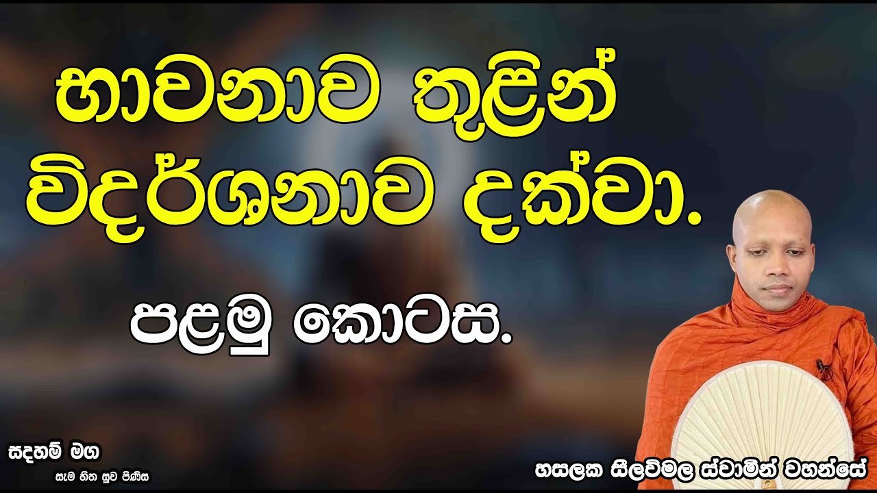 භාවනාව තුළින් විදර්ශනාව දක්වා. පළමු කොටස.2662Ven Hasalaka Seelawimala Thero