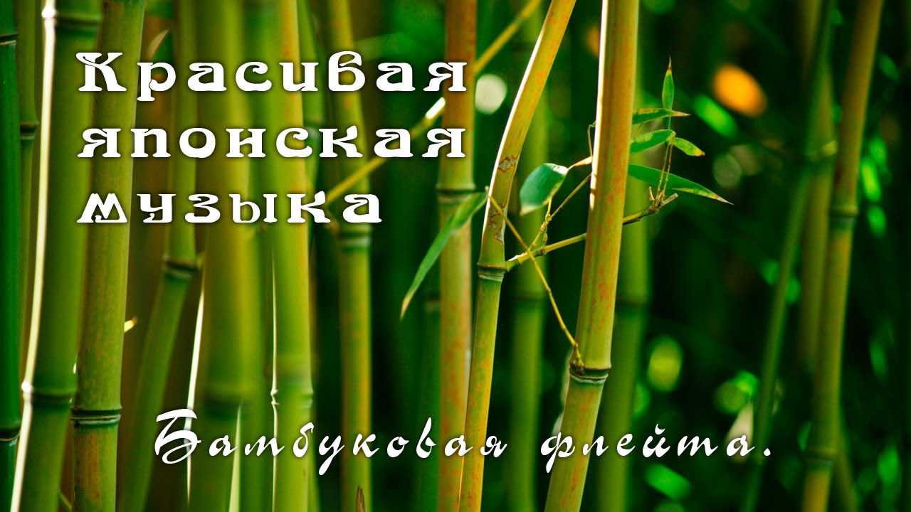 Красивая японская музыка - Бамбуковая флейта.