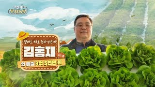 [183회] 아쿠아포닉스 농장 운영으로 연 매출 3억 5천만 원!! '경기 여주시 김홍재 부자농부'