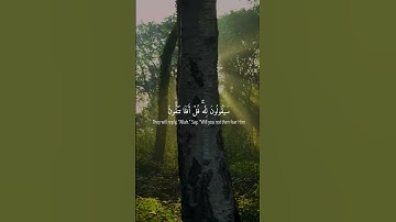 سورة المؤمنون الآيات 83_89 -- قل لمن الأرض ومن فيها -- بصوت الشيخ ياسر الدوسري #quran #قران