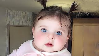 Funny Baby Videos  The Ultimate Try Not to Laugh Challenge