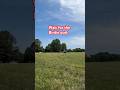Solid Tournament Birdie Par 4