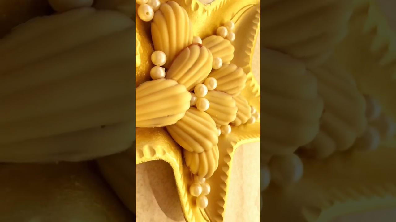 Shell chocolate dessert 