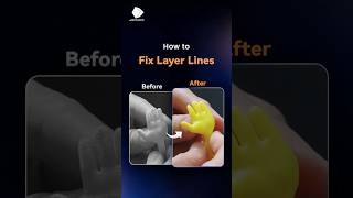 Fix Your Layer Lines!