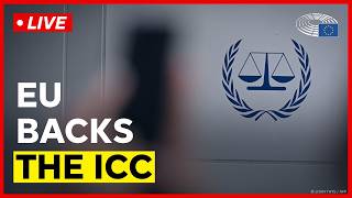 The EU supports the international rules-based order