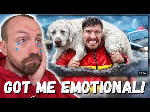 GOT ME EMOTIONAL!!! MrBeast I Saved 1,000 Animals From Dying (REACTION!!!)