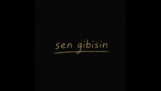 Sen Gibisin