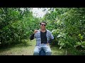 "Dari Lahan Tidur Menjadi Kebun Subur: Perjalanan Transformasi Kebun Bali Food Industry!"