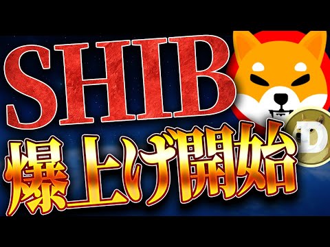 【SHIB(柴犬コイン)】資金が大量流入、爆上げサインが点灯しました。【ドージ】【DOGE】【ビットコイン】