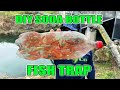 Testing DIY Soda Bottle Fish Trap 2022!