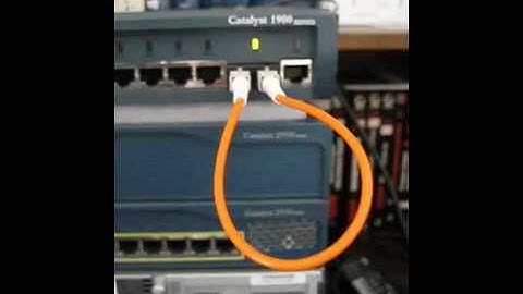 SC Multimode Fiber Optic Loopback cable