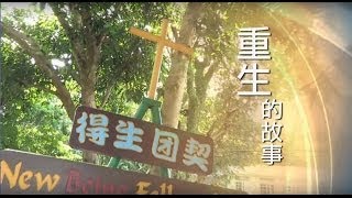電視節目 TV1195 因信得生 (HD 粵語) (香港系列)