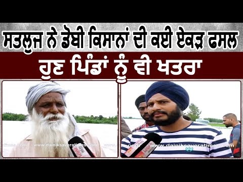 Exclusive : Satluj में डूबी Anandpur Sahib के किसानों की फसल, अब Villages को भी खतरा