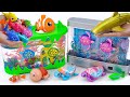 [Toy asmr]RC Mosasaurus &amp;Shark Gold &amp;Zuru Robo Turtle &amp;Harp's Aquarium ASMR Satisfying with Unboxing