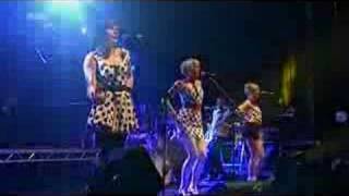 The Pipettes - Baby Don't Leave Me (Live Rocknacht 2007)