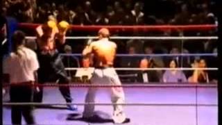 Fran Zuccala V Dale Wood Segment200 01 00 000 00 02 00 000