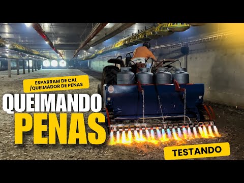 TESTANDO O NOVO QUEIMADOR DE PENAS