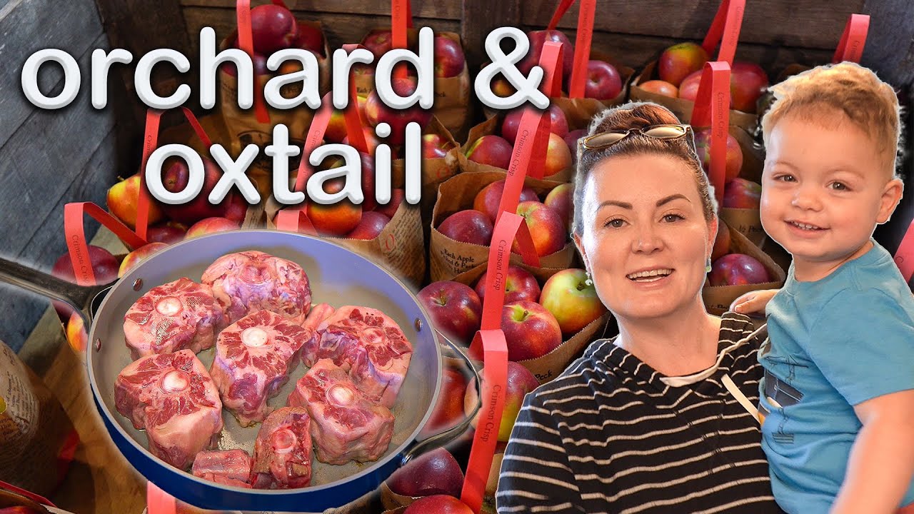 Apple Orchard and Oxtail Bone Broth Recipe