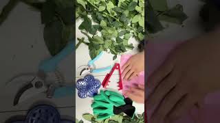 Rose Stripper Leaf Burrs Pliers Kit for Garden Floral Making, Florist Supplies