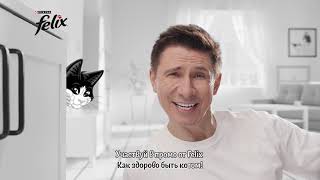 Здорово быть котом!