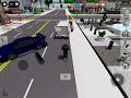 Roblox Brookhaven hacker 