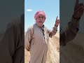 مزارعو القمح في ريف حماة يجنون محصولهم وسط شكاوى من المنصة الجديدة وحجز الدور لتسليم المحصول