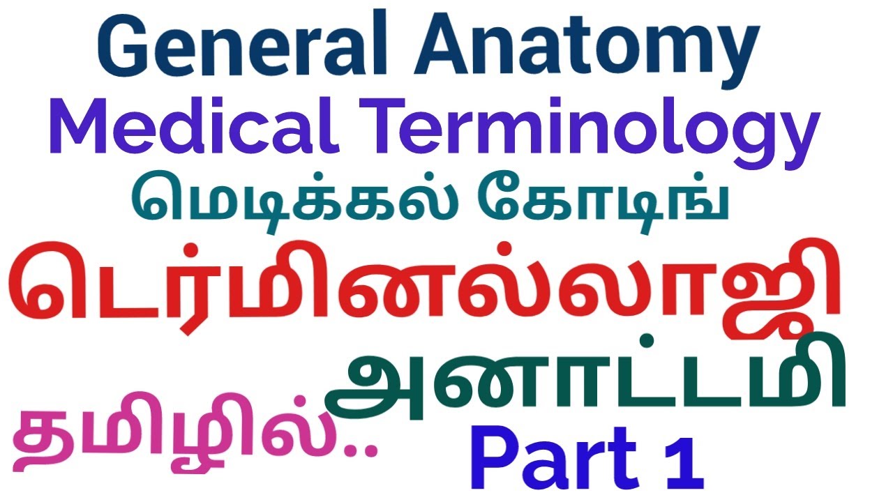 general-anatomy-medical-terminology-anatomical-position-in-tamil