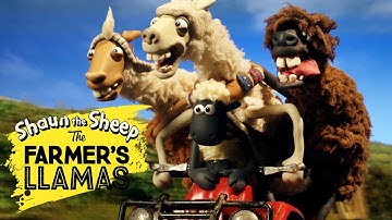 Shaun the Sheep: The Farmer