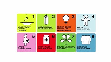 What are the Sustainable Development Goals (SDGs)?