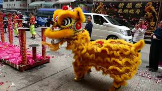 Stunning Cny Lion Dance Performance In Hong Kong