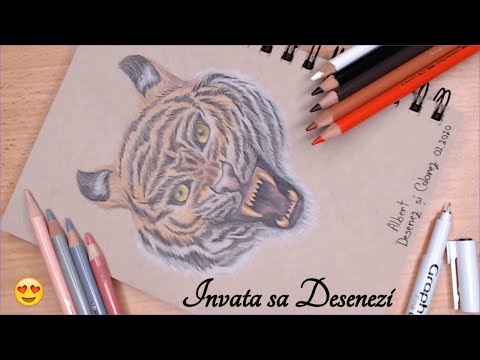 Video: Cum Să înveți Să Desenezi Un Tigru
