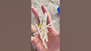 Test Strips Are The Best Strips