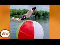 The Bigger the Ball, the Bigger the FAIL! 😂 | Best Funny Fails | AFV 2021