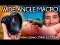Wide Angle Macro and the Venus/LAOWA 15mm Macro Lens