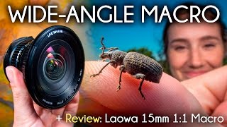 Wide Angle Macro and the Venus/LAOWA 15mm Macro Lens screenshot 3