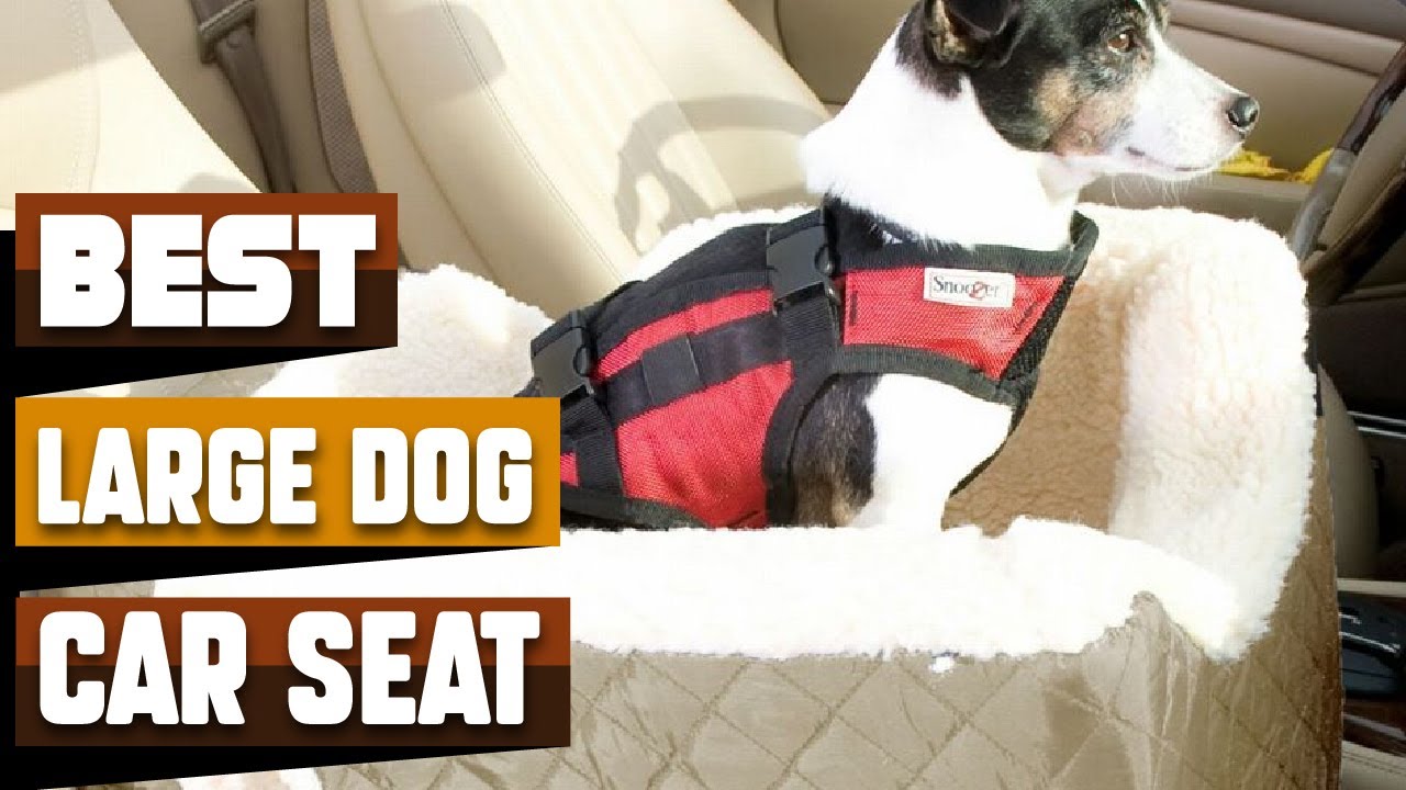 Best Large Dog Car Seats In 2023 Top 10 Large Dog Car Seats Review