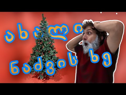 ახალი და ძალიან მაგარი ნაძვის ხით ვხვდები ახალ წელს