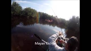 Snook and Tarpon Fishing Everglades