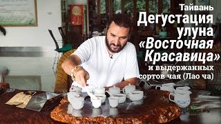 видео: Тайвань. Дегустация улуна  картинка: Тайвань. Дегустация улуна