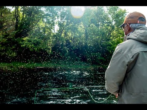 Brown Trout Soothing 