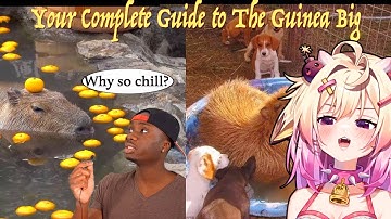 The Science of why Capybara are so Unproblematic, rosiebellmoo reacts to Casual Geographic