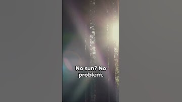 Lost in the Wild: Invisible Landmark Navigation #shorts  #survivalskills #navigation  #survivaltips