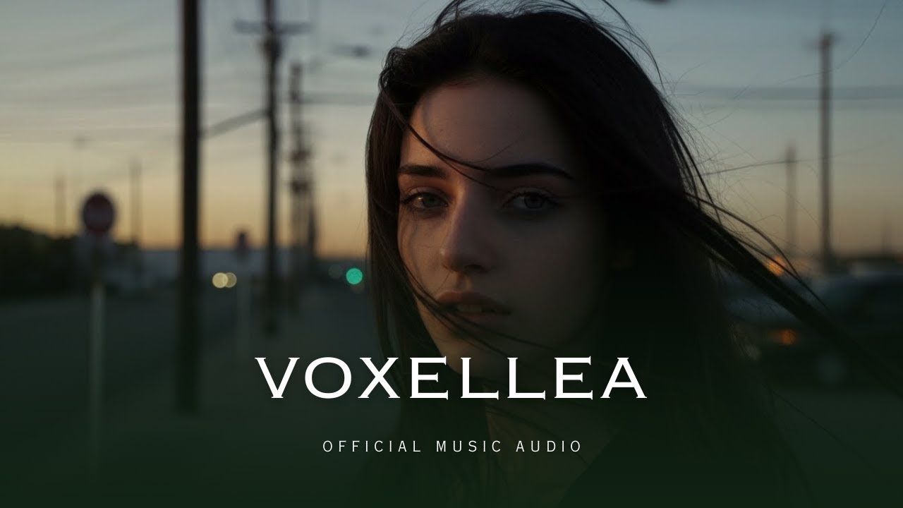 I Gave You All of Me - Voxellea