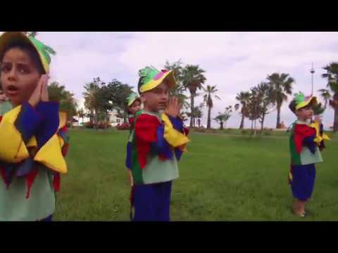 სტუდია ჰარმონია - harmonia