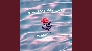 Bloom Anyways - Platon