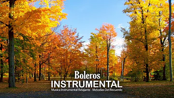 Los Mejores Boleros Instrumentales del Mundo - Musica Instrumental Relajante - Melodías Del Recuerdo